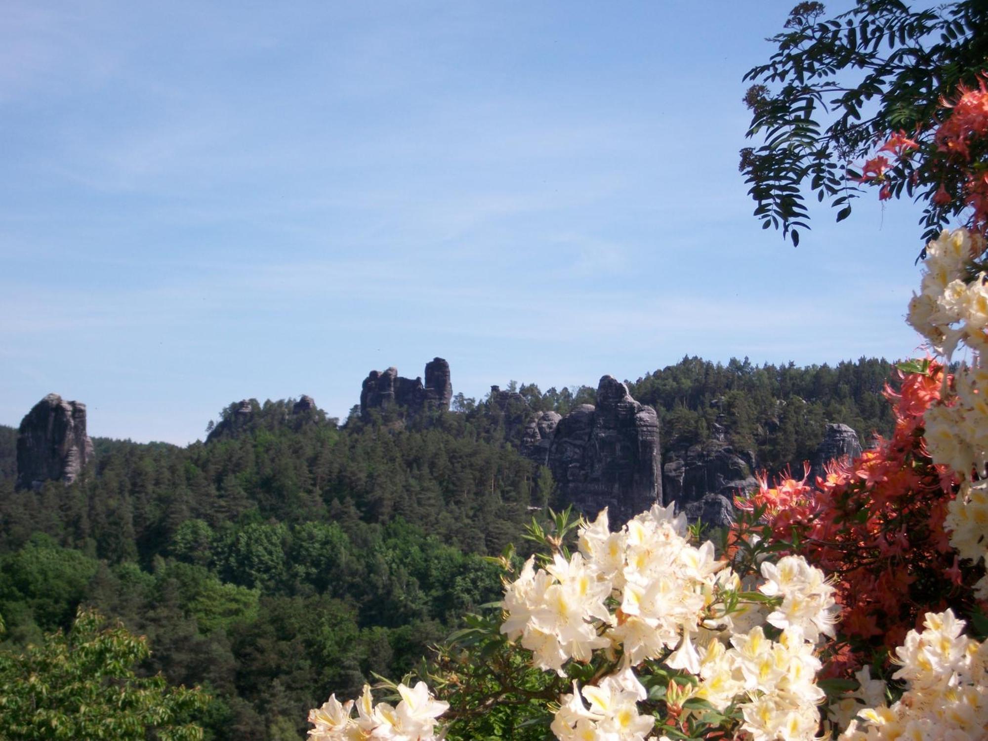 Ferienwohnung Zum Lilienstein 바트샨다우 외부 사진